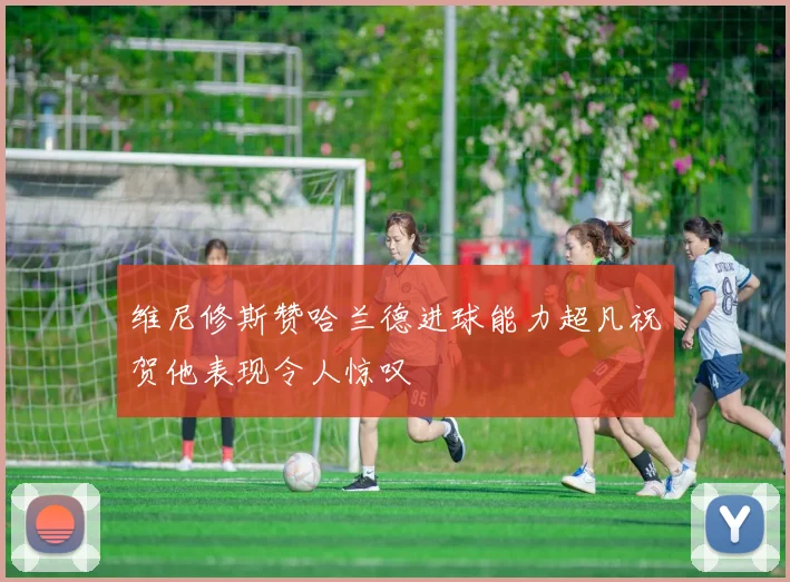维尼修斯赞哈兰德进球能力超凡祝贺他表现令人惊叹
